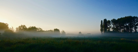 Ochtendnevel boven de rivier
