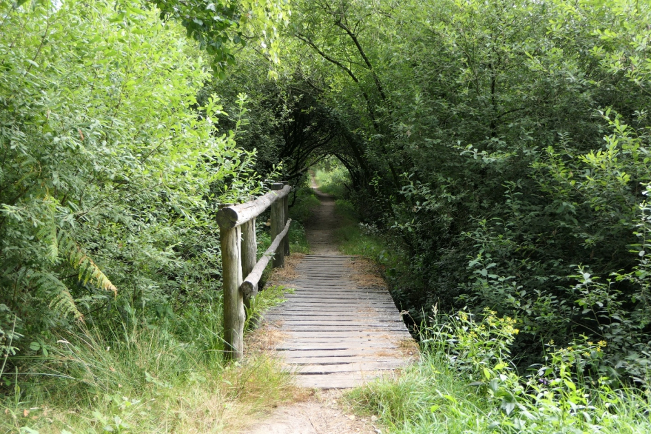 Droogte - Weer en landschap - 