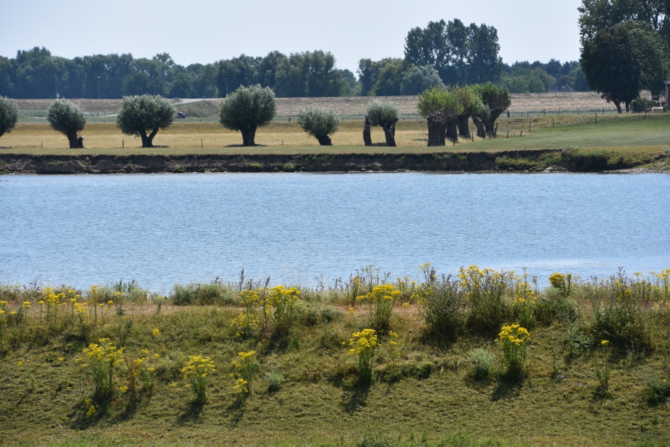 Droogte langs de Lek - Weer en landschap - 