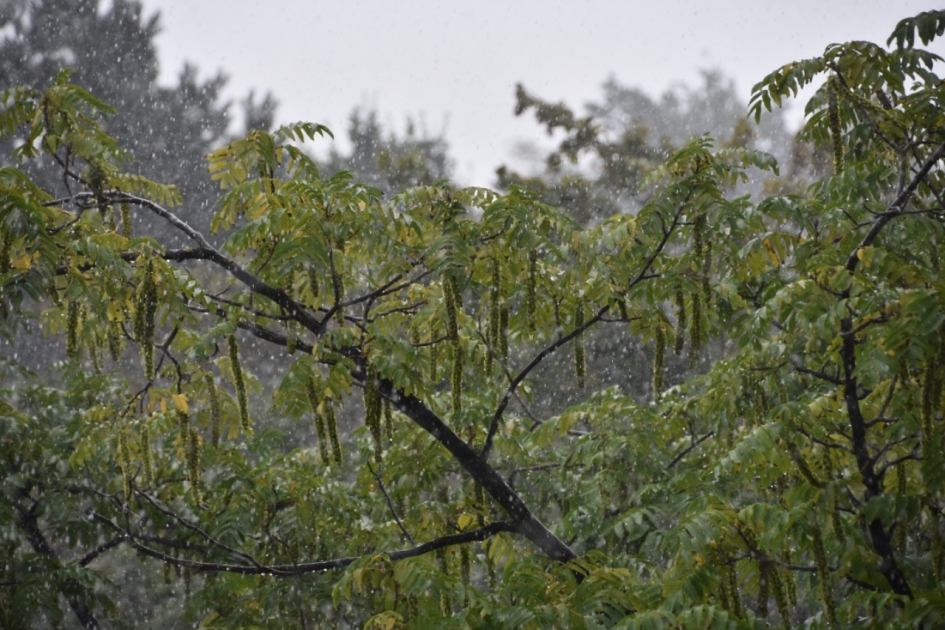 Regen 2 - Weer en landschap - 