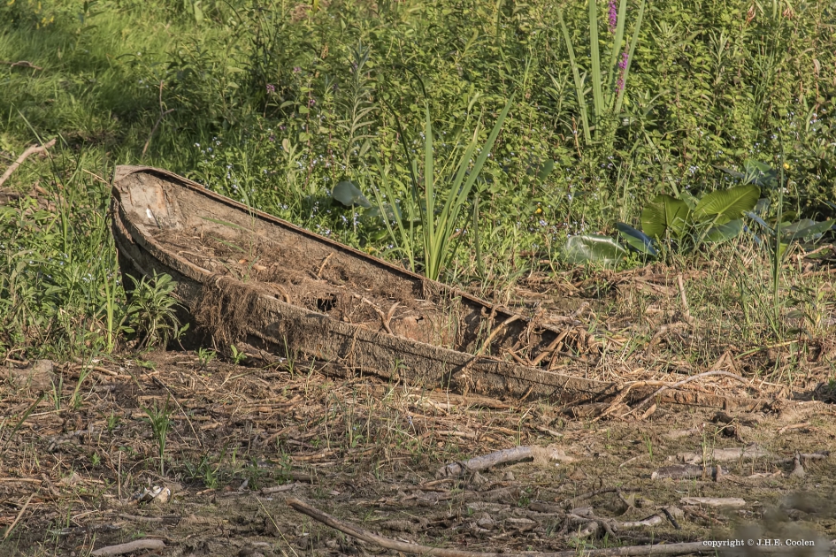 Vergeten - Weer en landschap - 