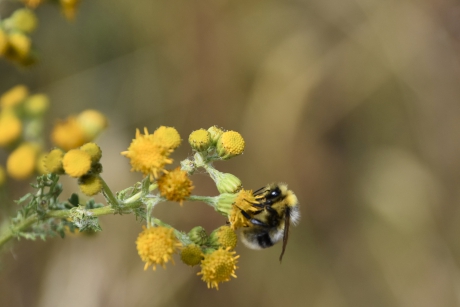 Ze hebben het moeilijk