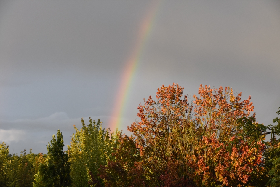 20:15 uur - Weer en landschap - 