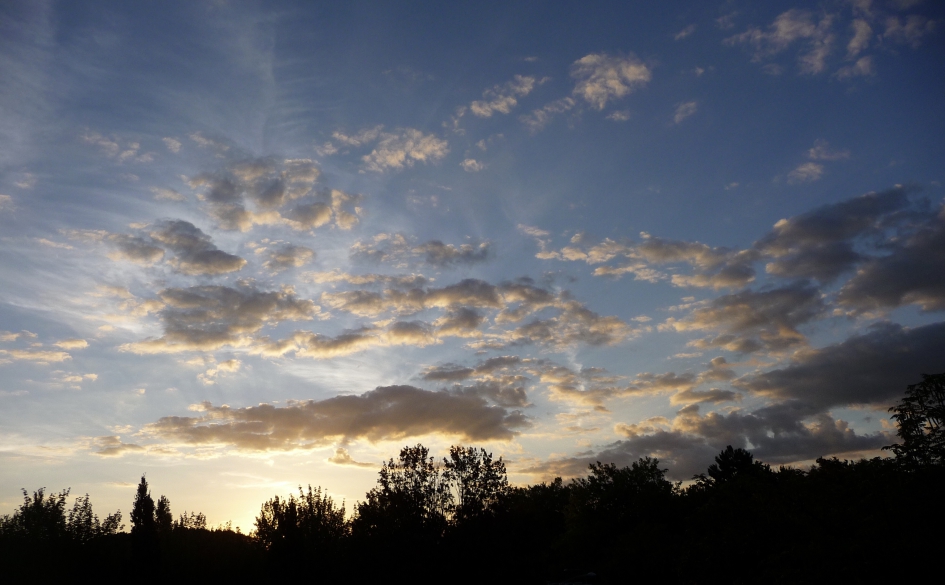 6:30 uur - Weer en landschap - 