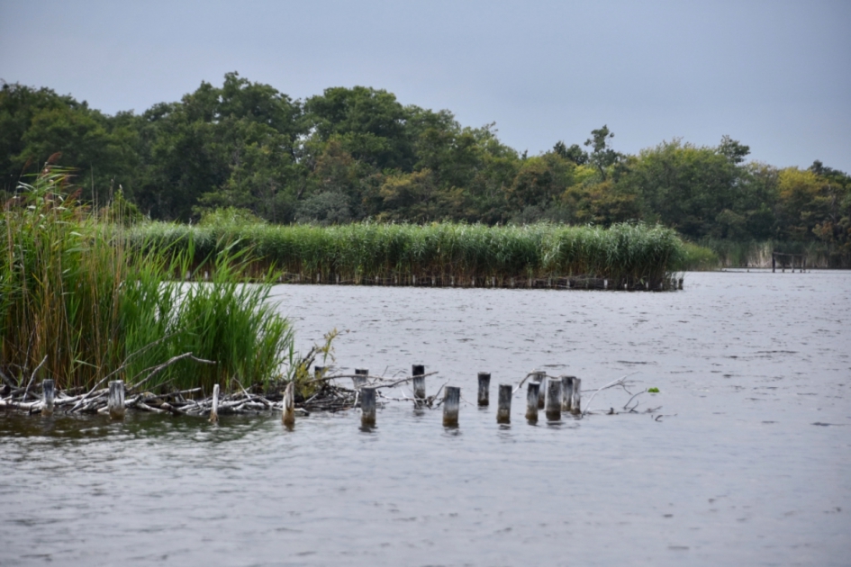 Botshol - Weer en landschap - 