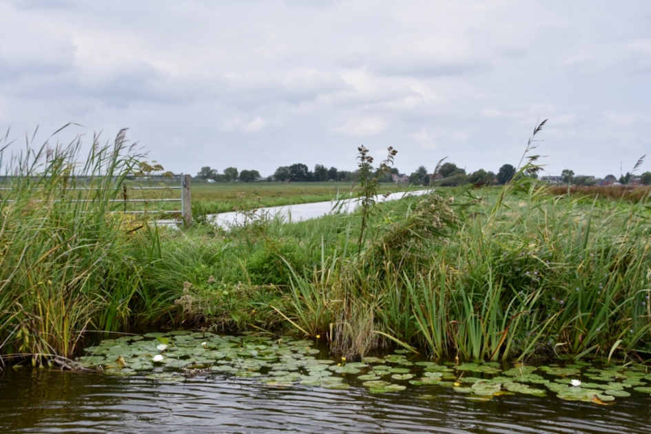 De polder bij de plassen van Botshol - Weer en landschap - 