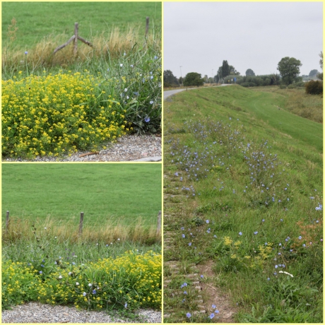 De Lekdijk stond nog vol met bloemen