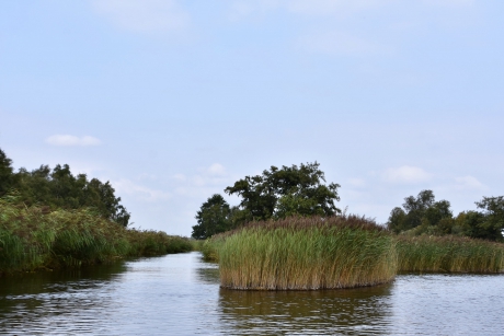 De plassen van De Botshol