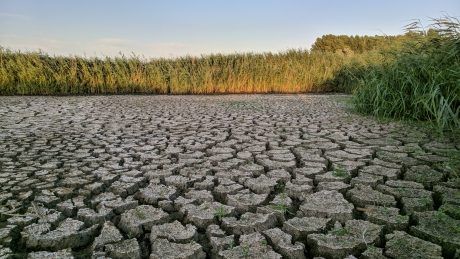 Droogte in Waverhoek