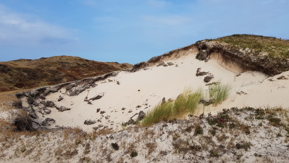 Duinen - Weer en landschap - Duinen
