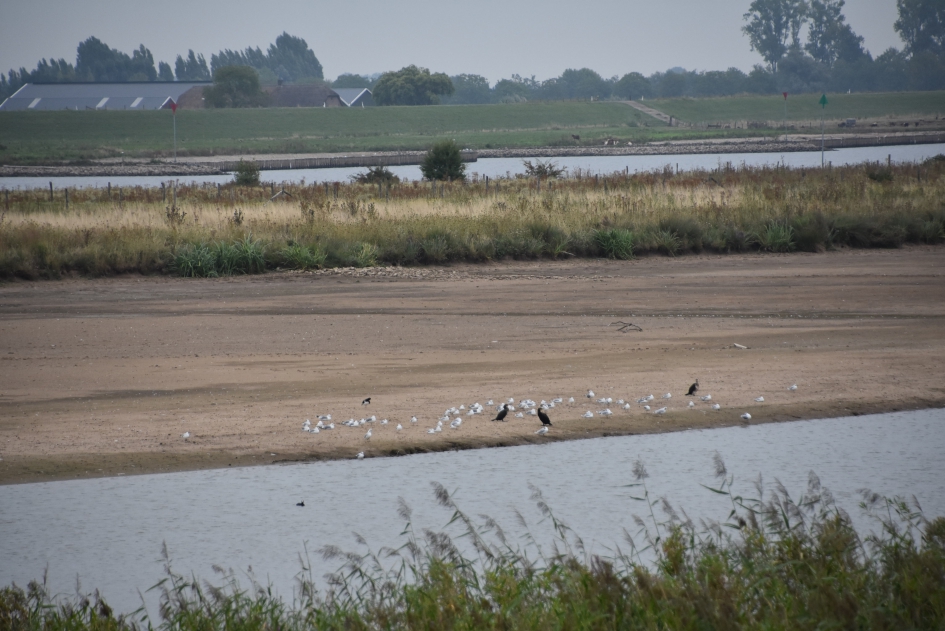 Everdinger Waarden - Weer en landschap - 