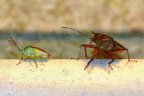 Samen onder de tuinlamp