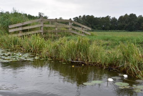 Varen op de plassen van de Botshol