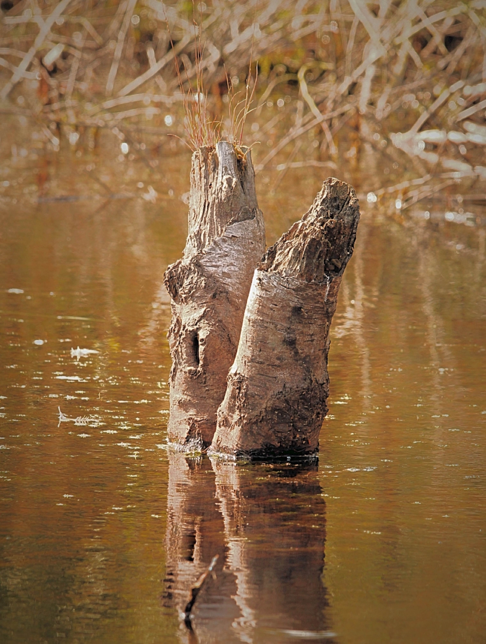 Vergankelijkheid - Weer en landschap - 