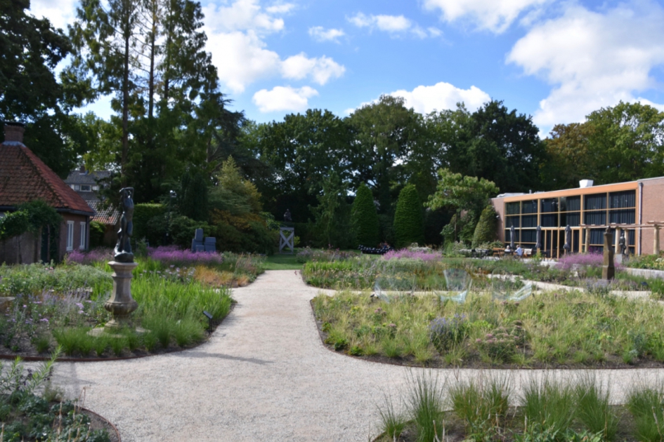 Vernieuwde tuin... - Planten - 