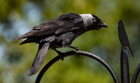Wie ben jij? Wat doe jij hier?