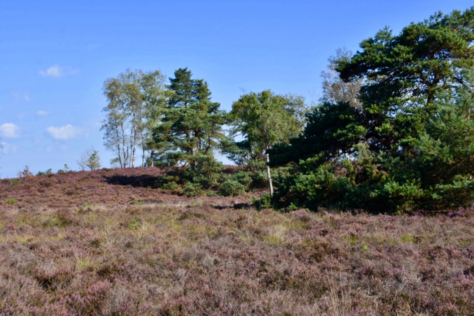 De Treek - Weer en landschap - 