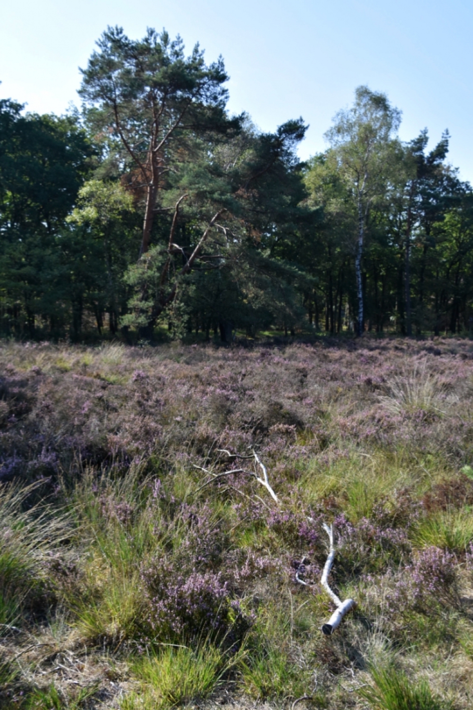 Hei - Weer en landschap - 