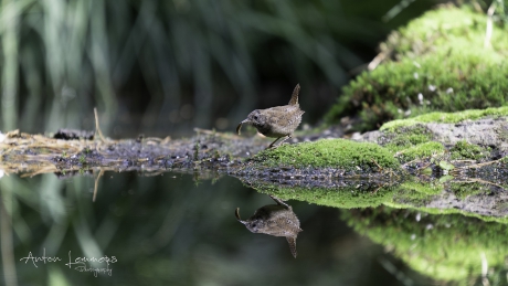 Kijk, dit is mijn lunch
