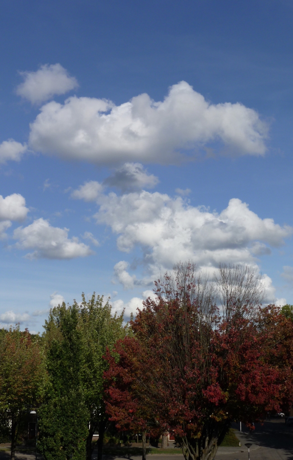 Mooie wolken lucht - Weer en landschap - 