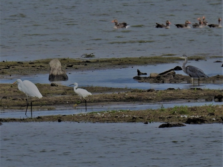 Met zijn drieën op de foto