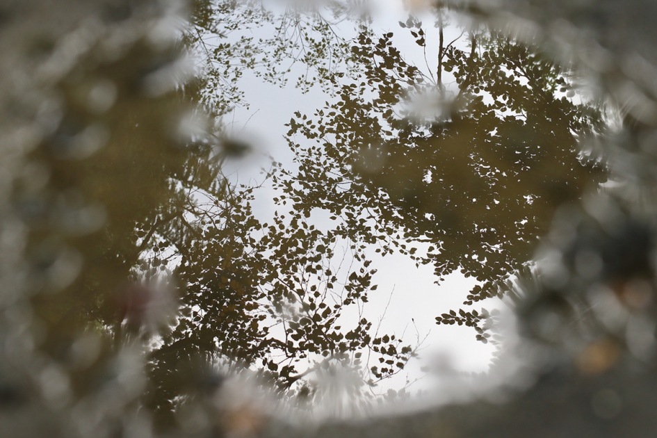 ondersteboven - Weer en landschap - 