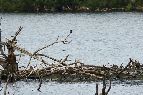 Onmiskenbaar silhouet