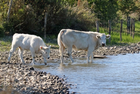 Ook voor ons een heerlijke herfstdag