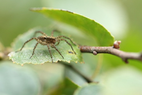 schuilen bij een buitje