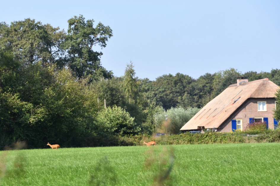 Toch maar wegrennen - Zoogdieren - 