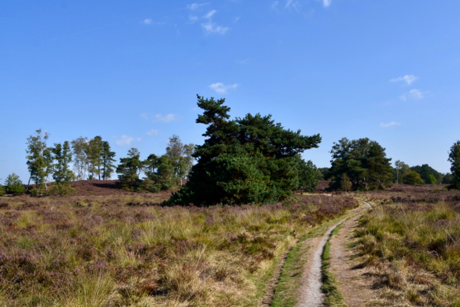 Treekerheide - Weer en landschap - 