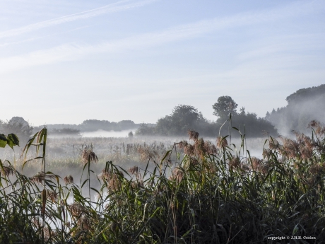 Zonnige frisse ochtend