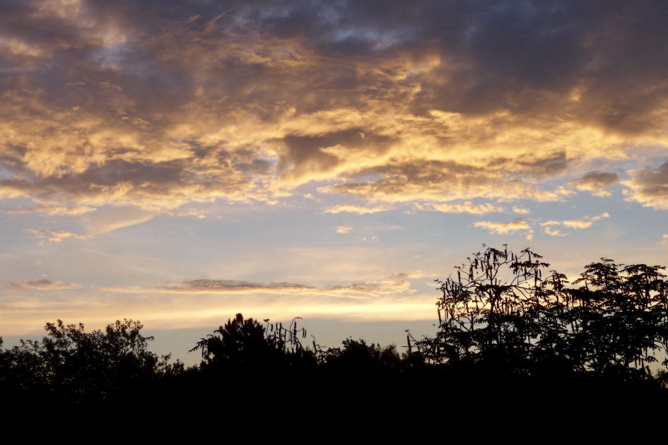 8:15 uur - Weer en landschap - 