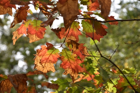 Allemaal een zonnige zondag!