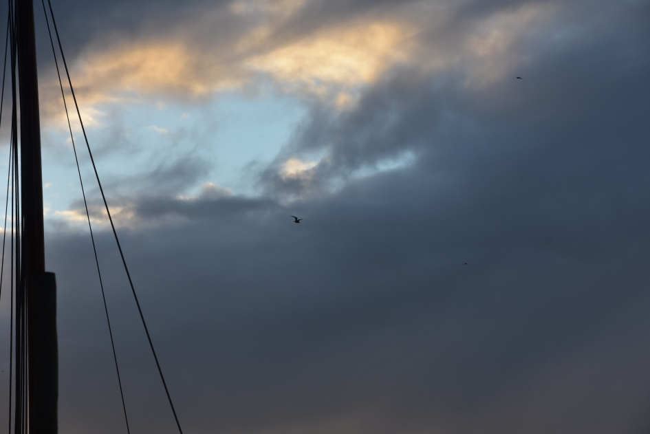 De avond valt - Weer en landschap - 