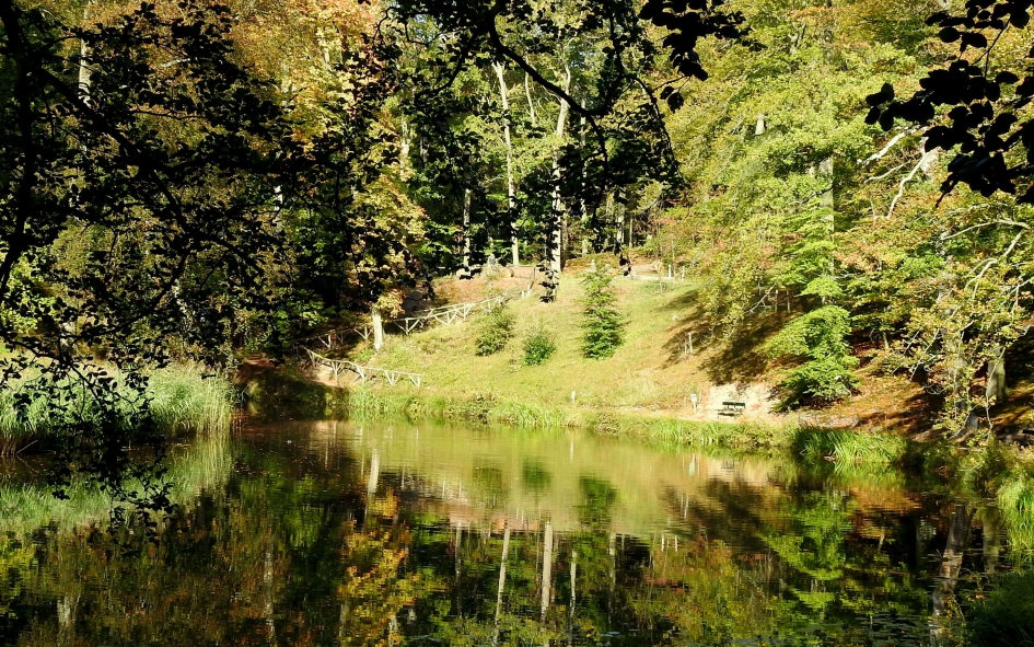 In het hart van Elswout - Weer en landschap - Buitenplaats Elswout
