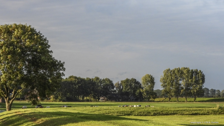 Lekker rustig - Weer en landschap - 