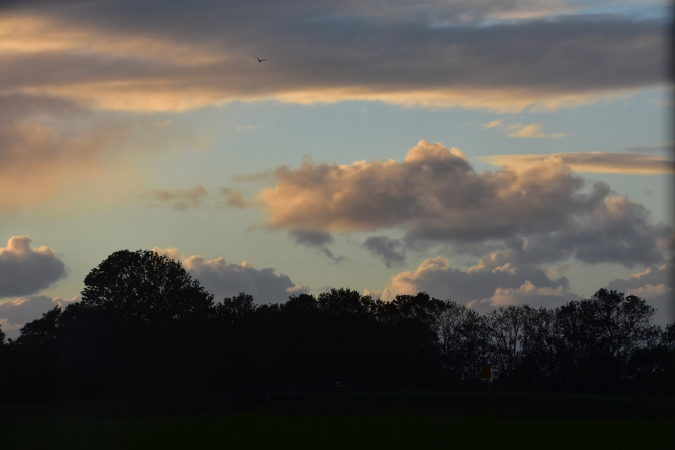 Mooie wolken - Weer en landschap - 