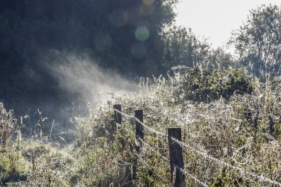 Ochtenddamp.... - Weer en landschap - 