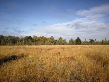 Relaxen in het herfstzonnetje!