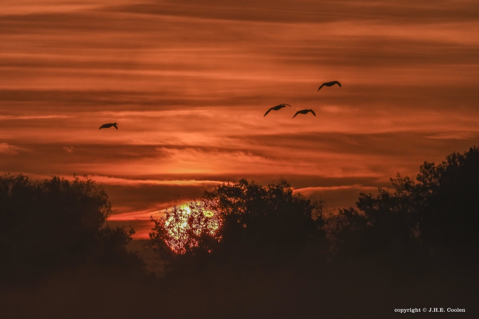 Rustmoment - Weer en landschap - 