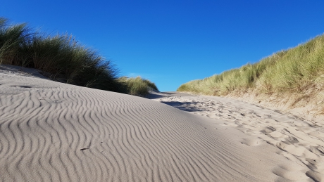 Zomer in Zeeland