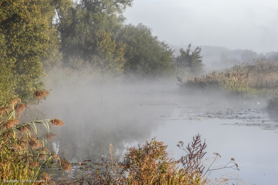 Zonnige frisse ochtend - Weer en landschap - 