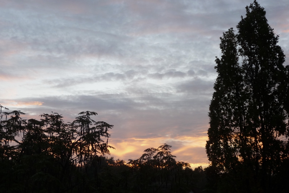 Zwaar bewolkt..... - Weer en landschap - 