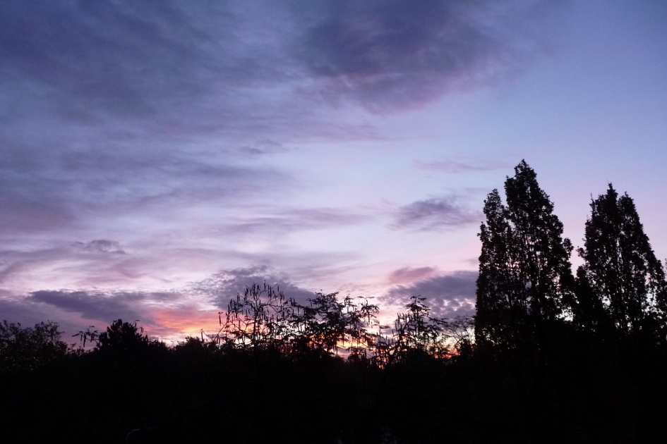 7:30 uur - Weer en landschap - 