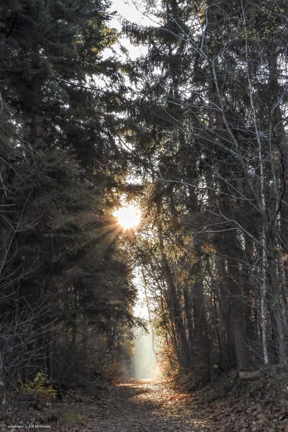 Als een zaklamp... - Weer en landschap - 