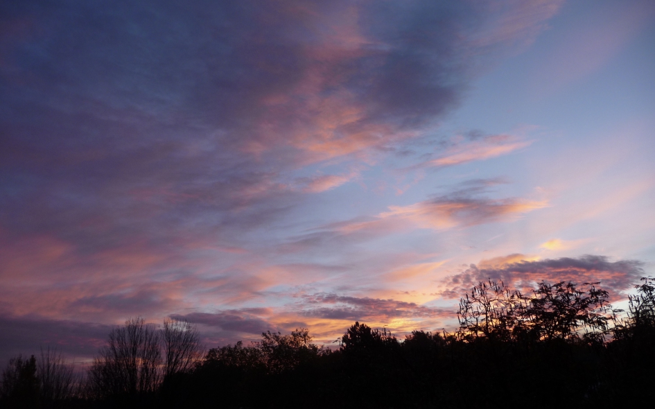 Half acht - Weer en landschap - 