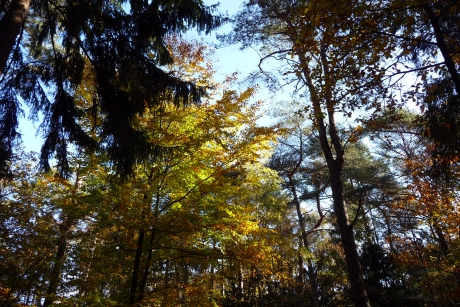 Herfst