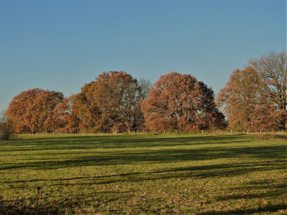 Herfst in Twente - Weer en landschap - 