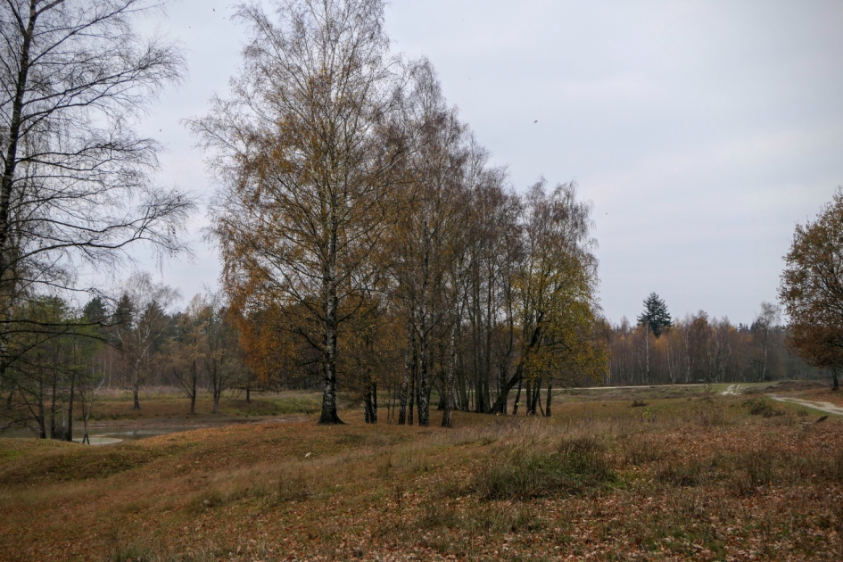 Herfstplaatje. - Weer en landschap - 